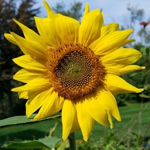 Meet your Posher, Tanja